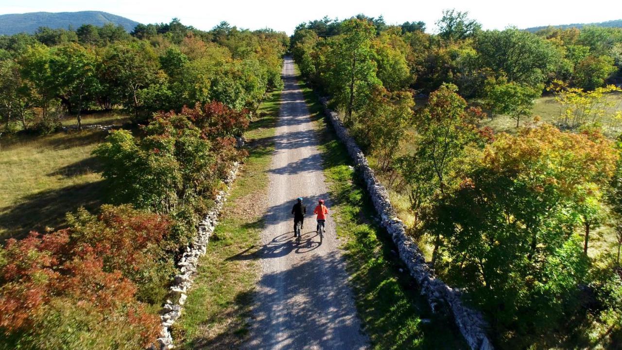 Vila Brinovka Kostanjevica na Krasu Екстер'єр фото